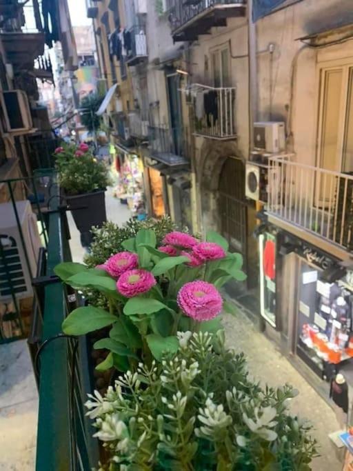 La Casa Di Patta A Spaccanapoli Esterno foto